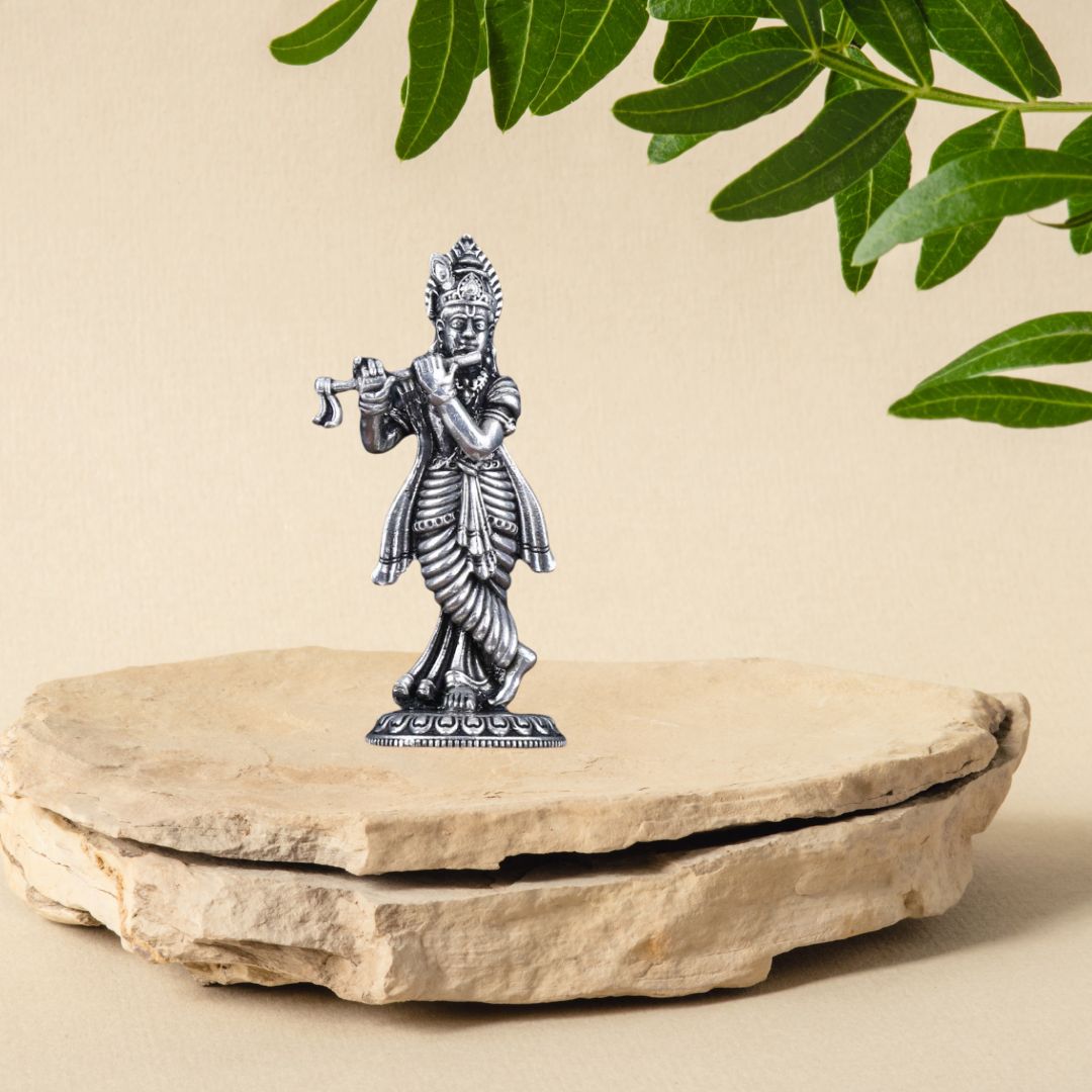 SRI KRISHNA PARAMATMA