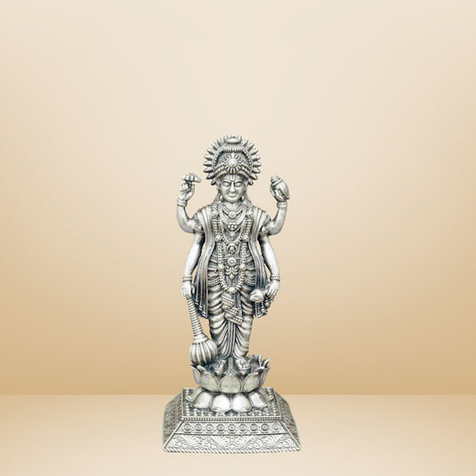 NARAYANA SWAMY